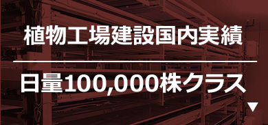 日量100,000株クラス