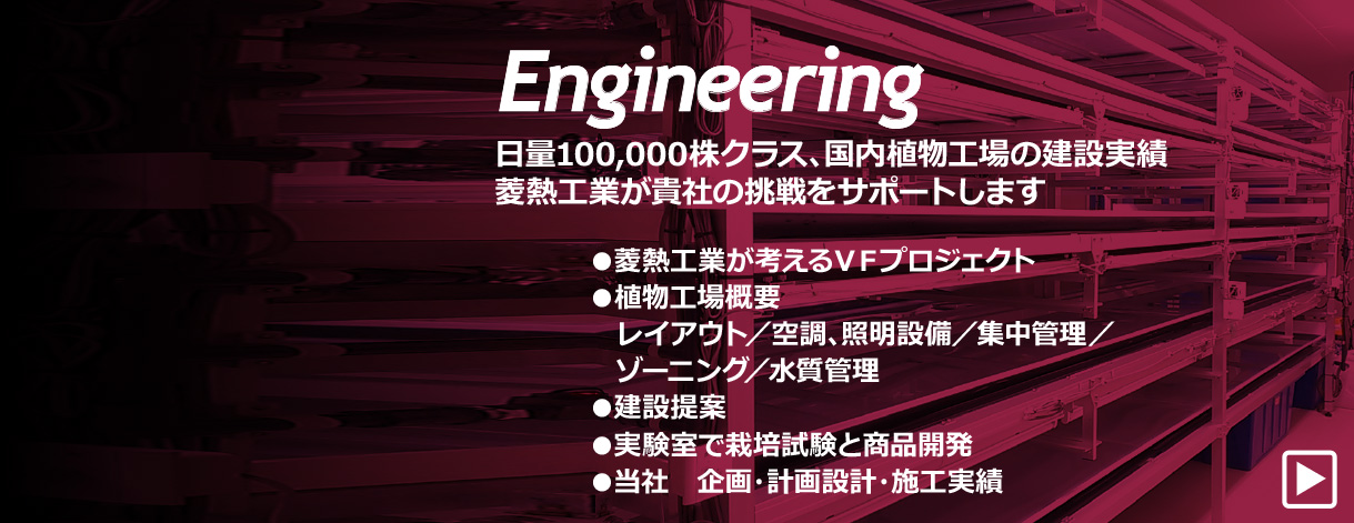 エンジニアリング 日量100,000株クラスの国内工場の建設実績