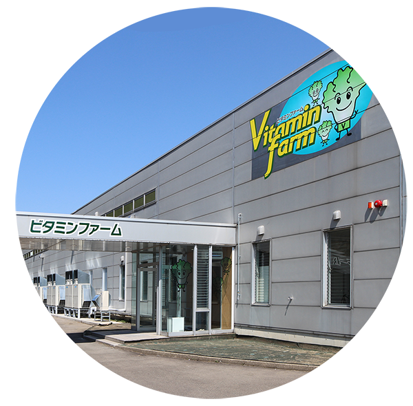 VitaminFarm（植物工場）